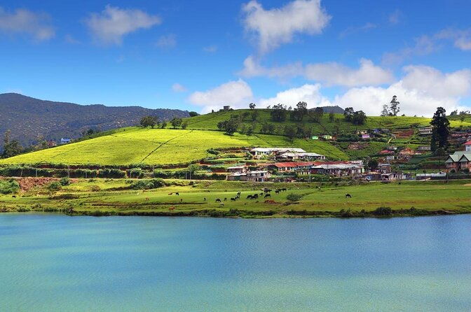 Nuwara eliya day tour